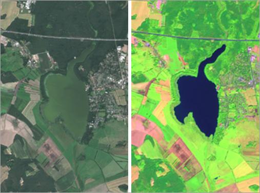 NDVI vegetation map